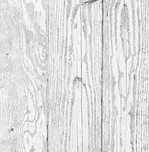 inspection systems on wood